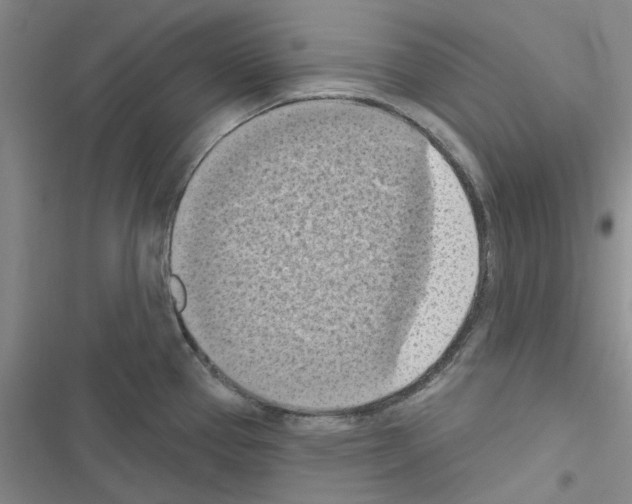 X0000116511337201001201437