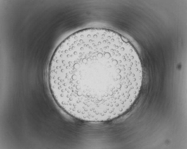 X0000116511343201001201437