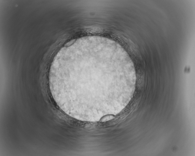 X0000116511345201001201436