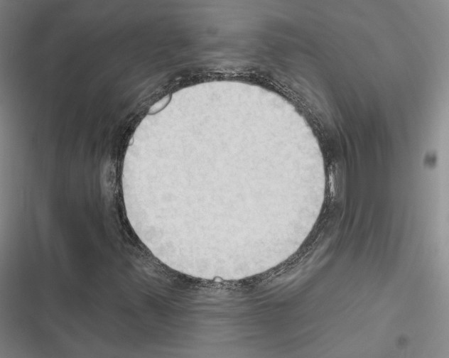 X0000116511347201001201436