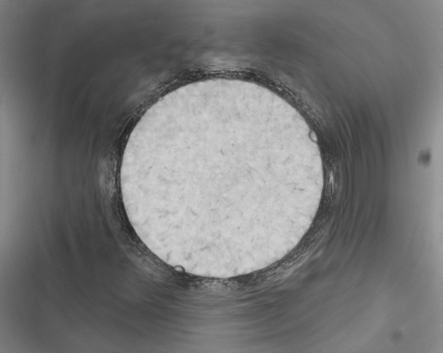 X0000116511348201001201436
