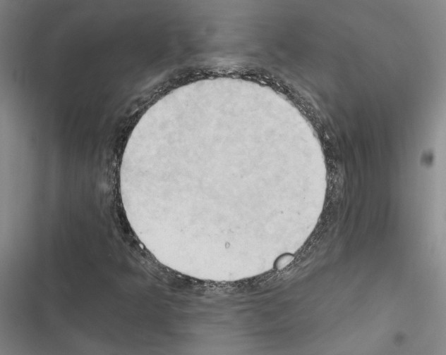 X0000116511349201001201436