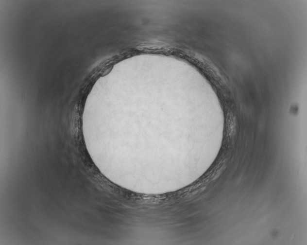X0000116511350201001201436