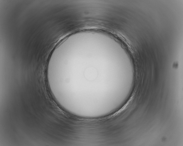 X0000116511353201001201436