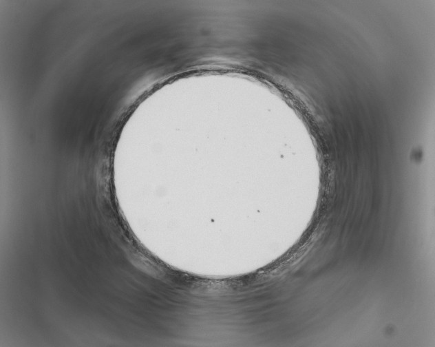X0000116511355201001201436