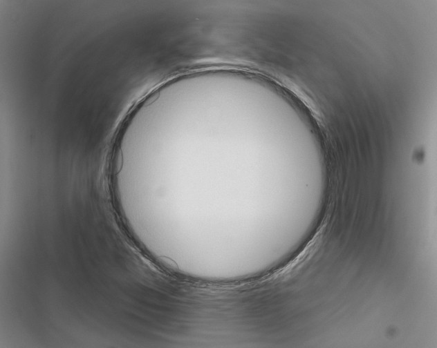 X0000116511357201001201436