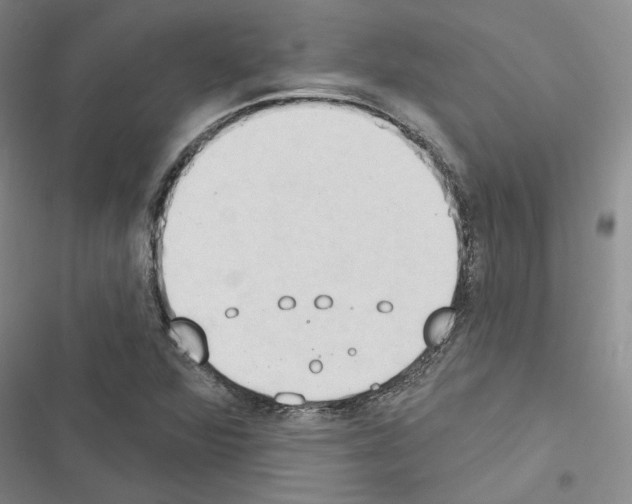 X0000116511360201001201436