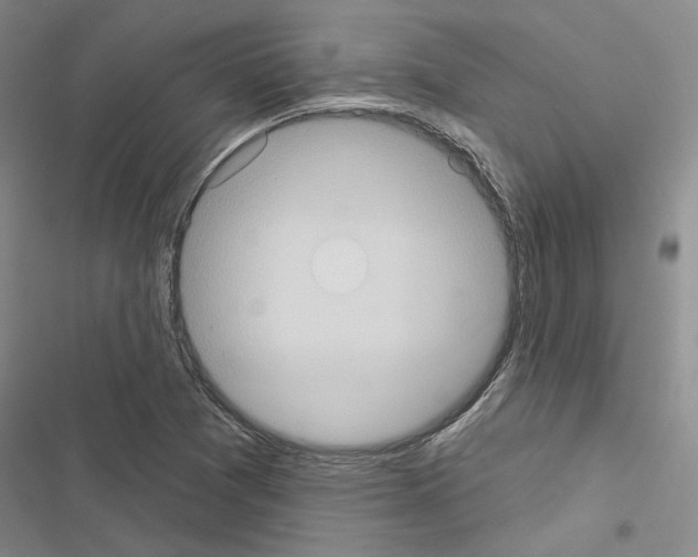 X0000116511361201001201436