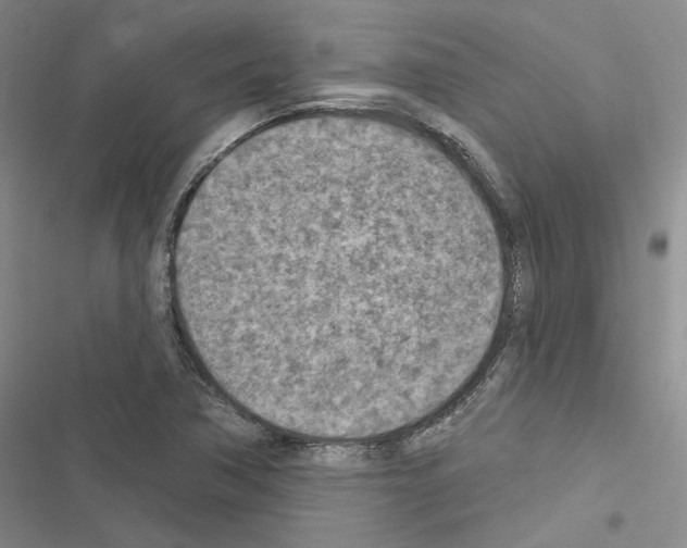 X0000116511362201001201436