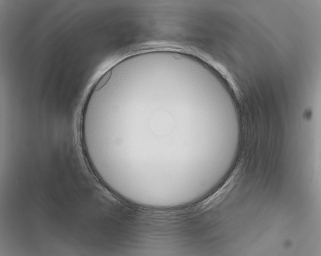 X0000116511365201001201436