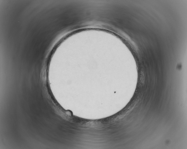 X0000116511368201001201436