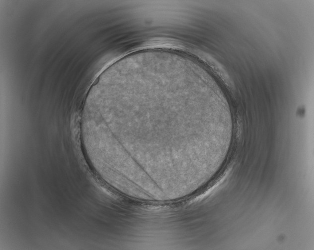 X0000116511369201001201436
