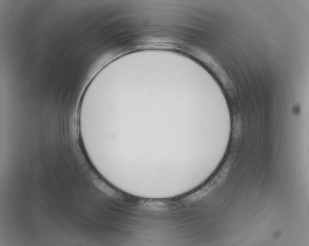 X0000116511370201001201436
