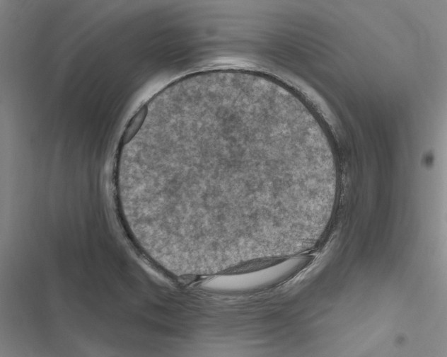X0000116511373201001201436