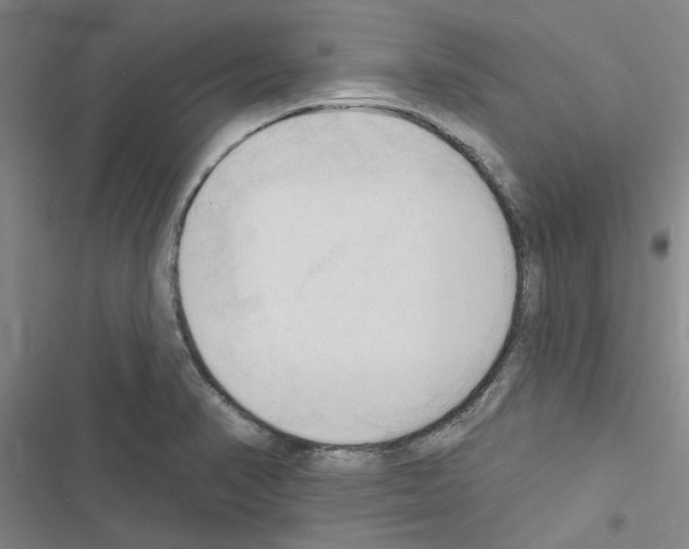X0000116511374201001201436