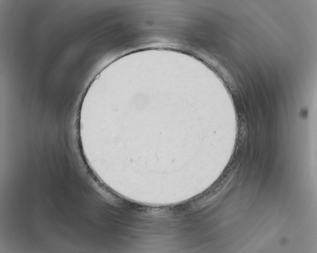 X0000116511375201001201436