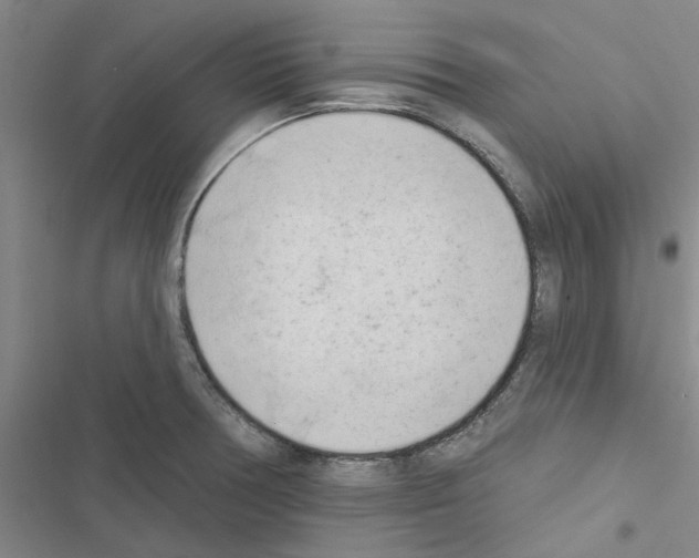 X0000116511378201001201436