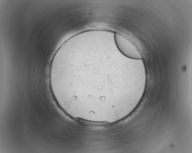 X0000116511382201001201436