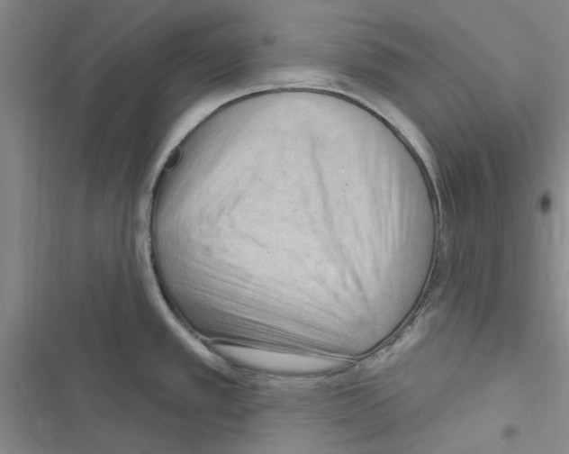 X0000116511389201001201436