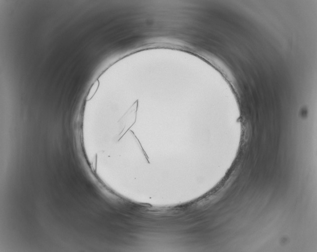 X0000116511391201001201436