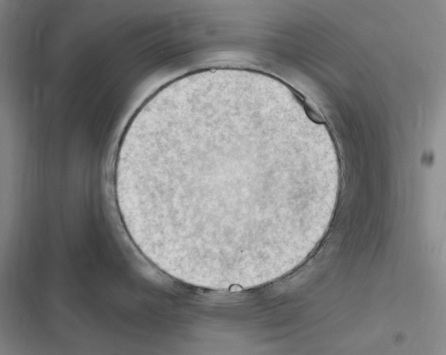X0000116511392201001201436