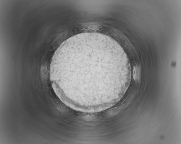 X0000116511395201001201435