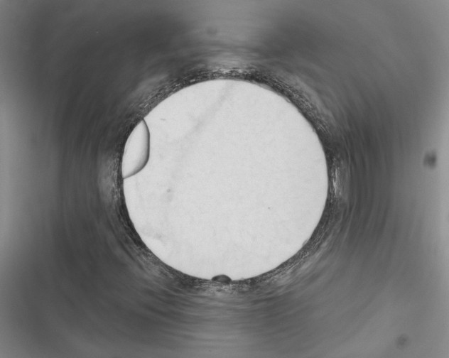 X0000116511396201001201435