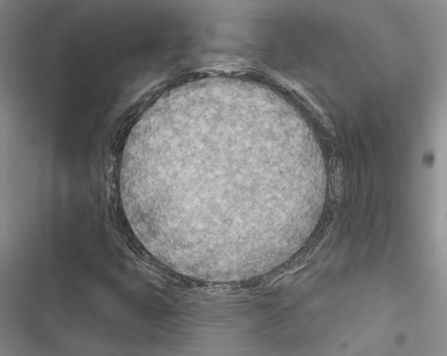 X0000116511399201001201435