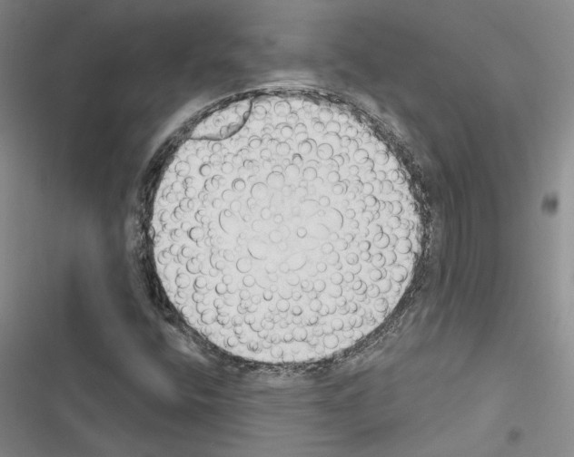 X0000116511400201001201435
