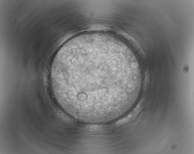 X0000116511401201001201435