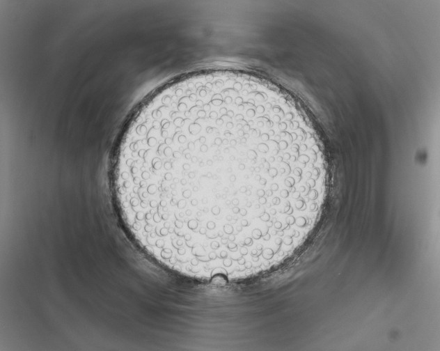 X0000116511404201001201435