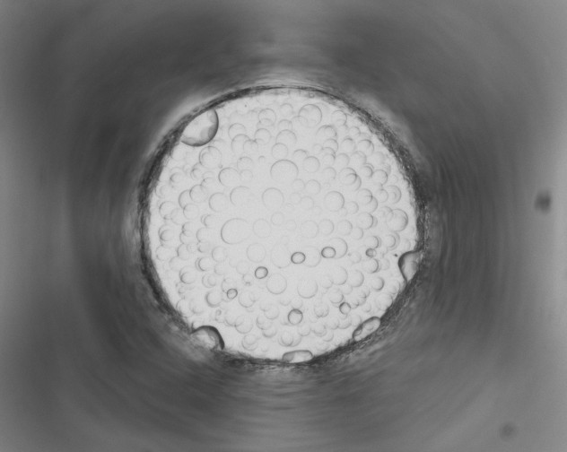 X0000116511408201001201435