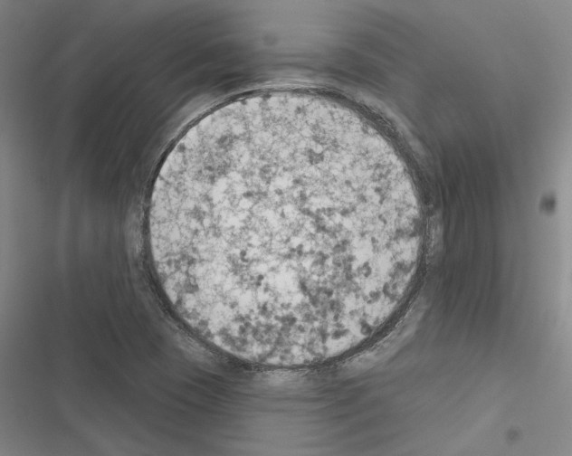 X0000116511409201001201435