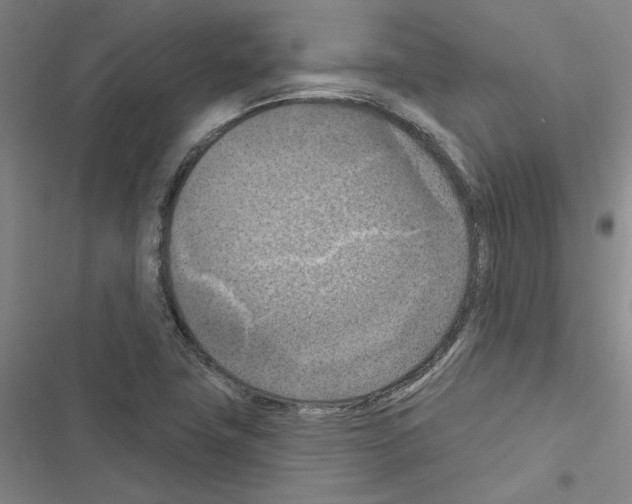 X0000116511411201001201435