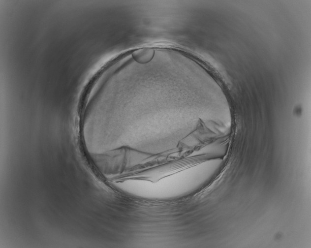 X0000116511414201001201435