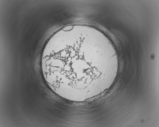 X0000116511415201001201435