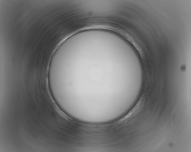 X0000116511417201001201435