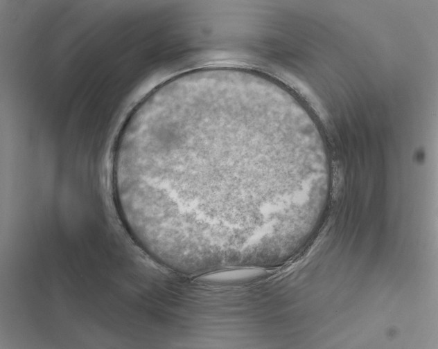 X0000116511419201001201435