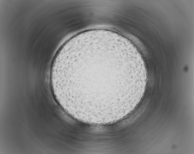 X0000116511420201001201435