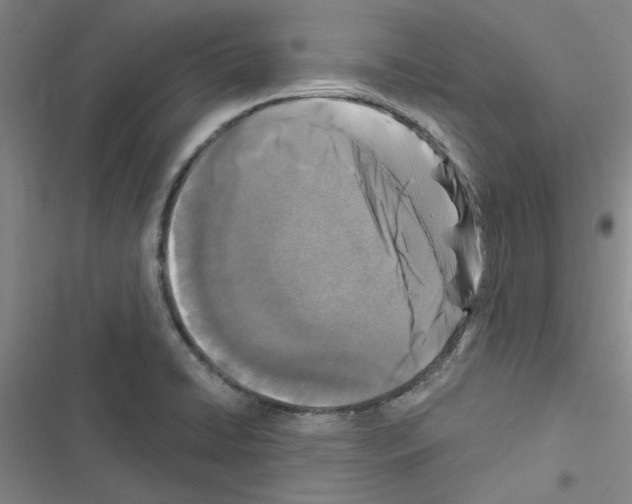 X0000116511422201001201436