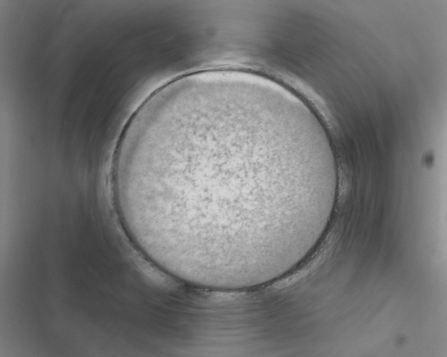 X0000116511423201001201436