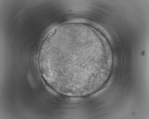 X0000116511425201001201436