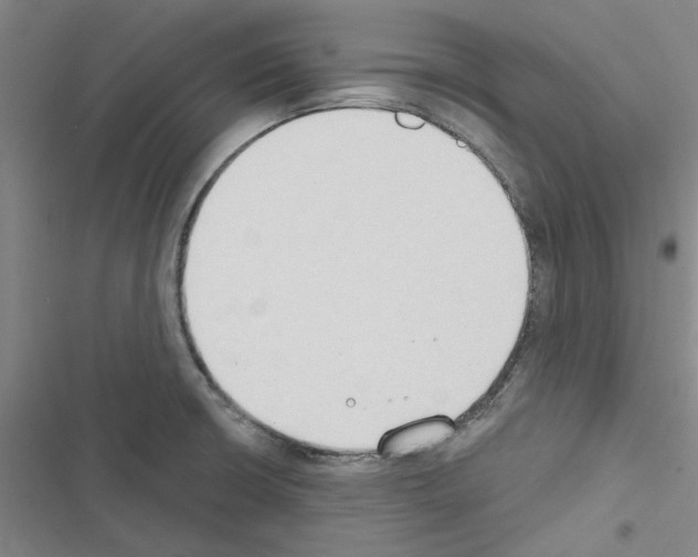 X0000116511426201001201436