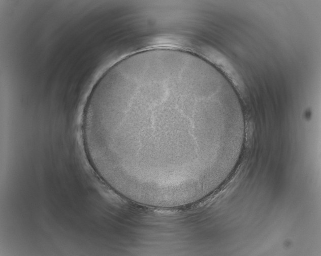 X0000116511427201001201436