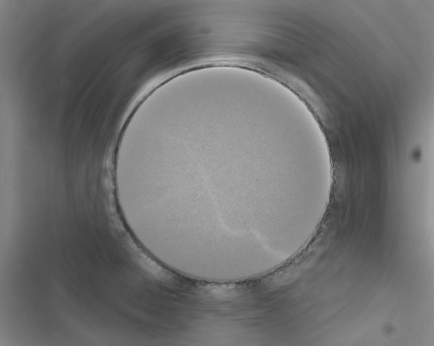 X0000116511428201001201436