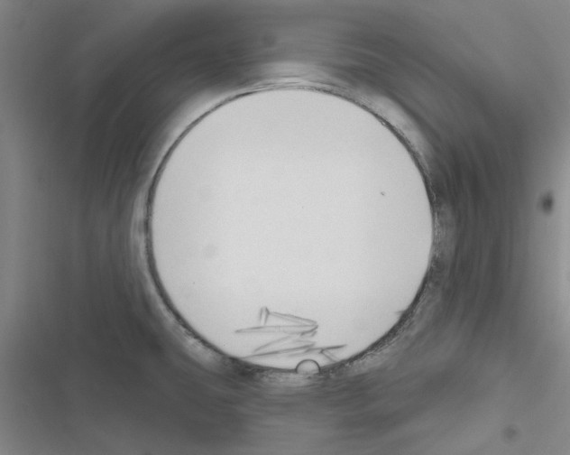 X0000116511431201001201436