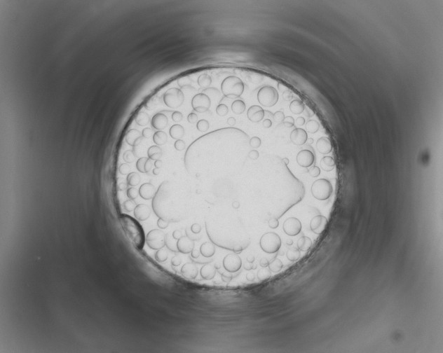 X0000116511432201001201436
