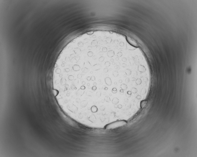 X0000116511433201001201436