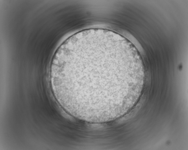 X0000116511436201001201436
