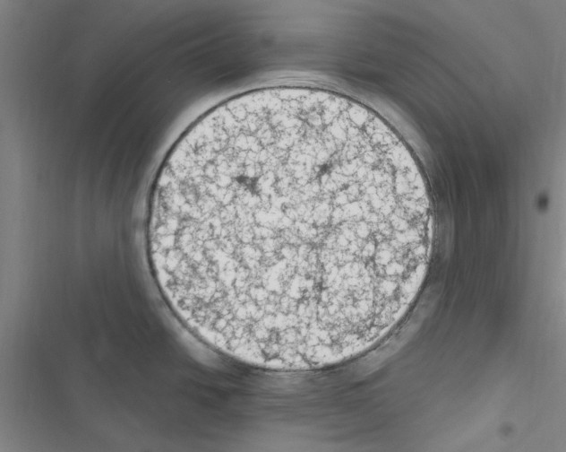 X0000116511438201001201436
